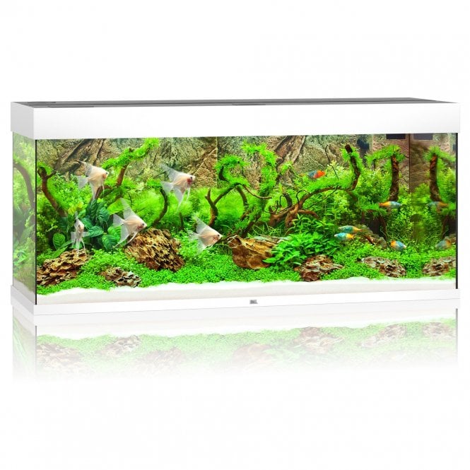 Juwel Rio 240 LED - Aquarium Only - White