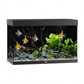 Juwel Rio 290 - Aquarium Only - Black