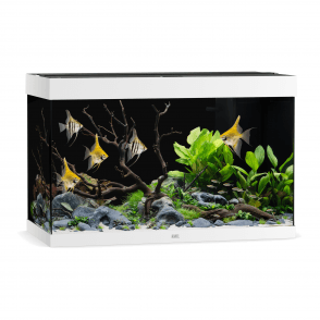 Juwel Rio 290 - Aquarium Only - Whire