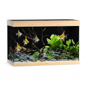 Juwel Rio 290 - Aquarium Only - Light Wood