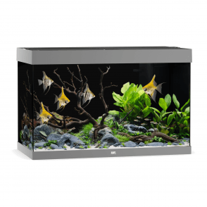 Juwel Rio 290 - Aquarium Only - Grey