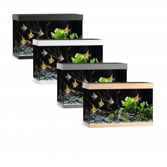 Juwel Rio 290 - Aquarium Only