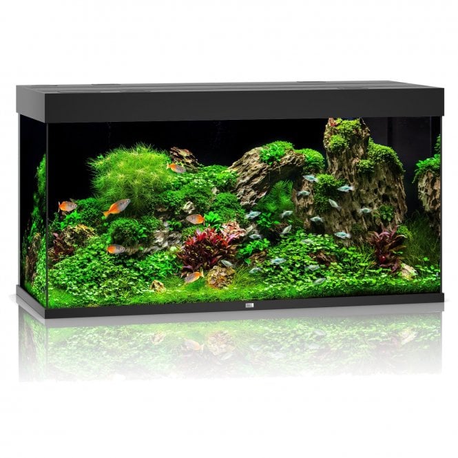 Juwel  Rio 350L LED - Aquarium Only - Black