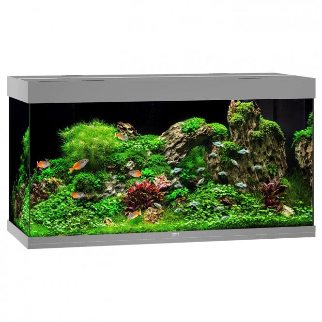 Juwel  Rio 350L LED - Aquarium Only - Grey
