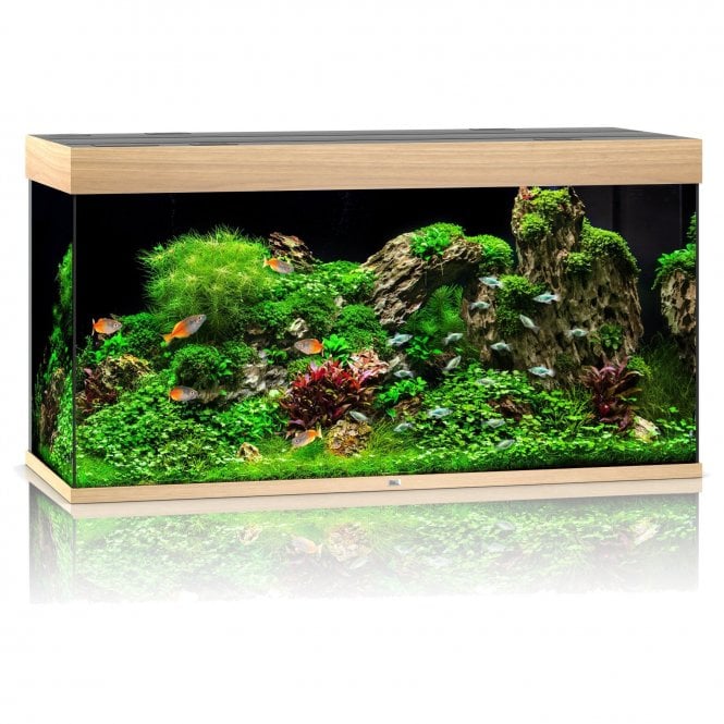 Juwel  Rio 350L LED - Aquarium Only - Light Wood (Oak)