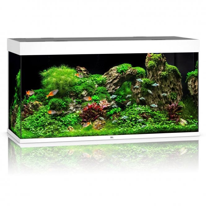 Juwel  Rio 350L LED - Aquarium Only - White