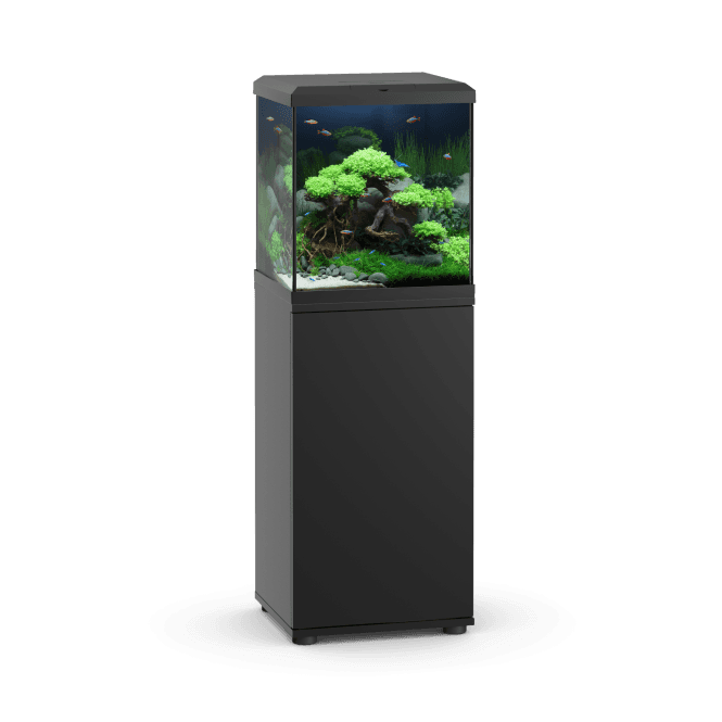 Juwel VIO Cube 54 - Aquarium and Cabinet Set - Black