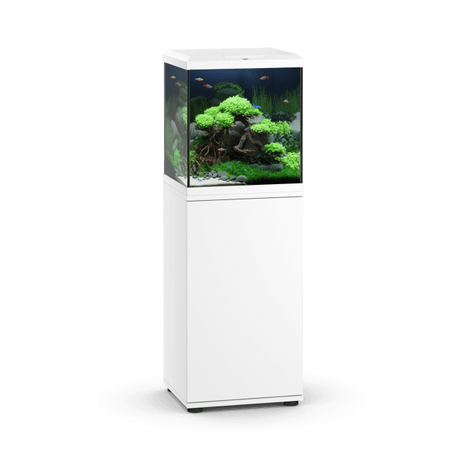 Juwel VIO Cube 54 - Aquarium and Cabinet Set - White