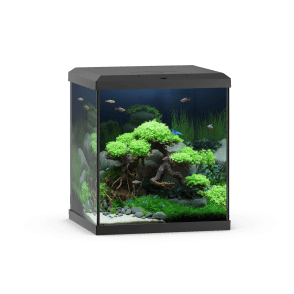 Juwel VIO Cube 54 - Aquarium Only - Black
