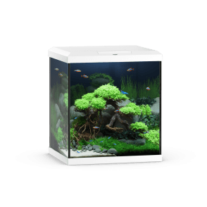 Juwel VIO Cube 54 - Aquarium Only - White