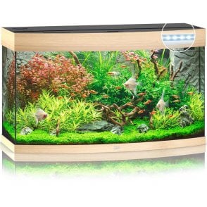 Juwel Vision 180 LED - Aquarium Only - Light Wood