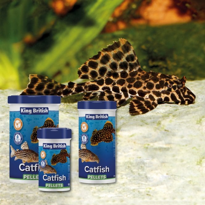 King British Catfish Pellets 60g-600g