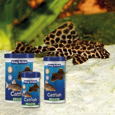 Catfish Pellets 60g-600g