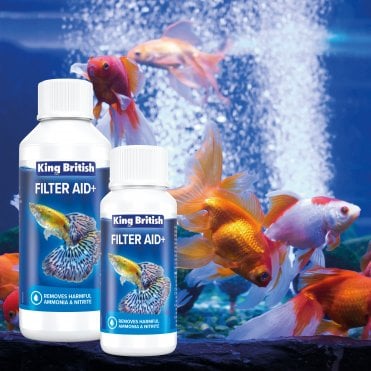King British Filter Aid+