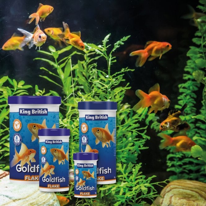King British Goldfish Flake 12g-200g