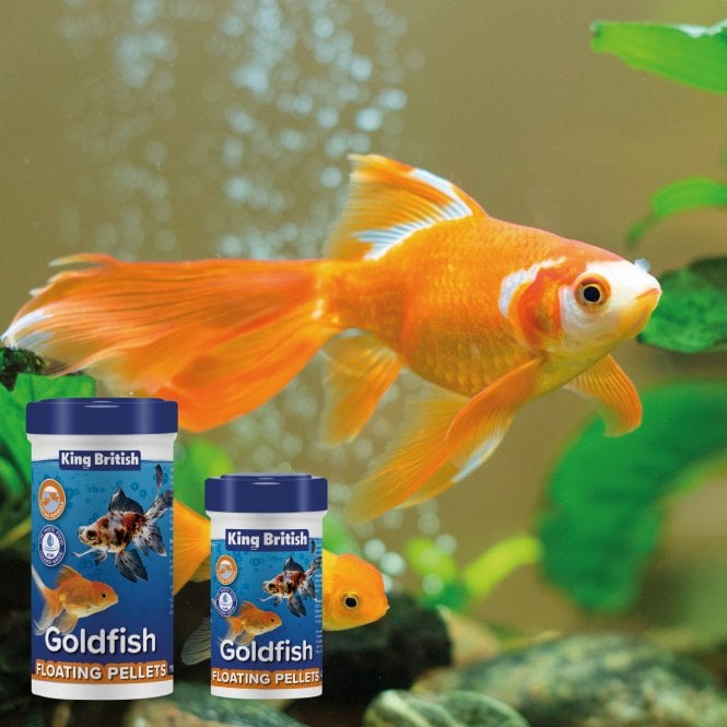 King British Goldfish Floating Pellets 42g-110g