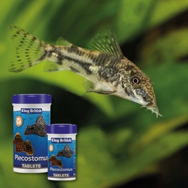 Plecostomus Tablet 50g-150g