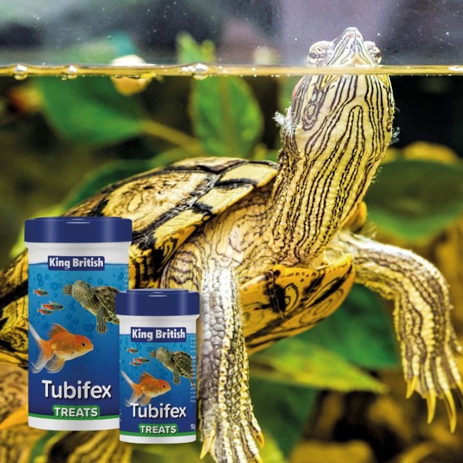 King British Tubifex Treats 10g-35g