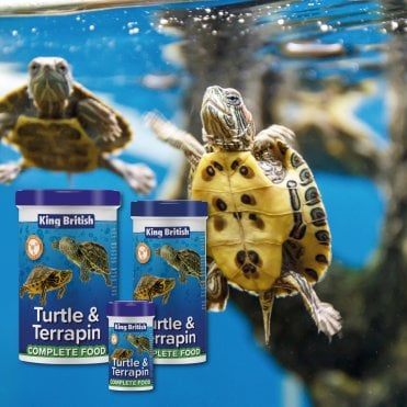 Turtle and Terrapin Complete Food