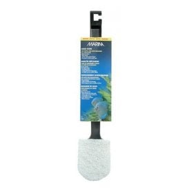 Marina Algae Scrub Medium