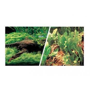 Marina Double Sided Aquarium Background, Japanese Aquascape/Freshwater Scenes