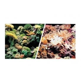 Marina Double Sided Aquarium Background, Marine Reef/Coral Scenes