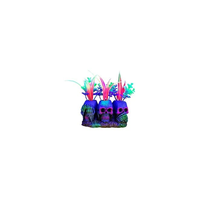 Marina  iGlo 3 Skulls with Plants - Small