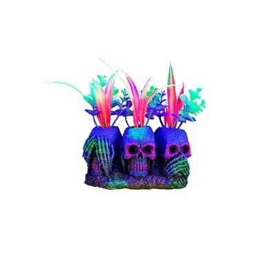 Marina iGlo 3 Skulls with Plants - Small