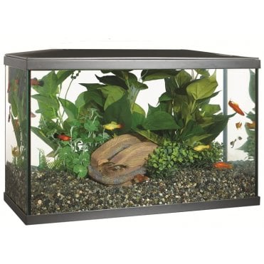 Marina Lux LED 38L - Aquarium Setup