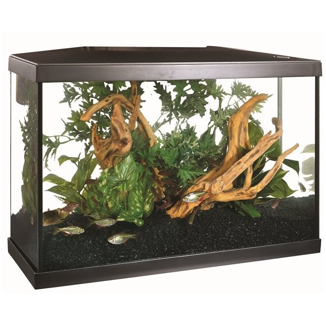 Marina  Lux LED 75L - Aquarium Setup