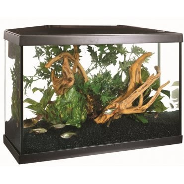 Marina Lux LED 75L - Aquarium Setup