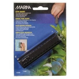 Marina Medium Algae Magnet