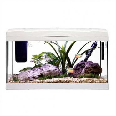 Marina Premium 54L - Aquarium Setup - White