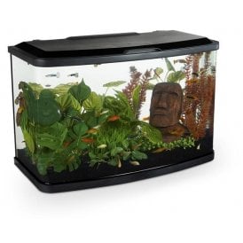 Marina Vue 60L - Aquarium Setup