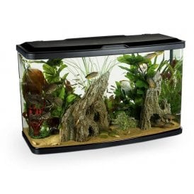 Marina Vue 87L - Aquarium Setup