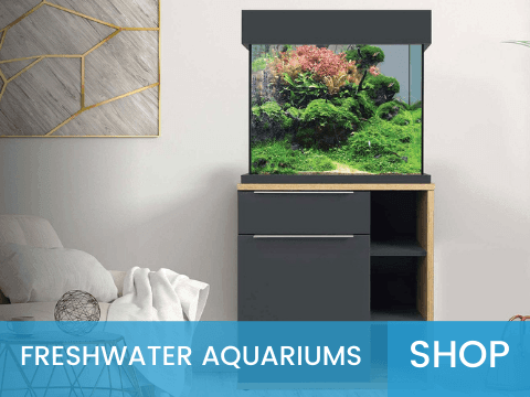 Freshwater