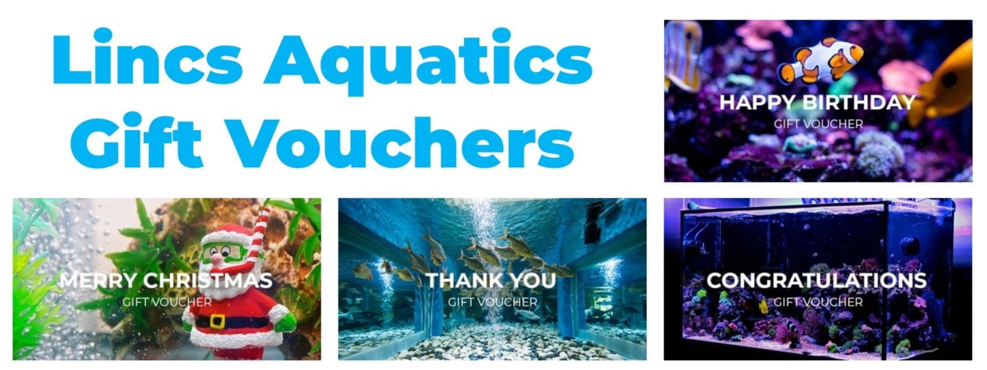 Gift Voucher