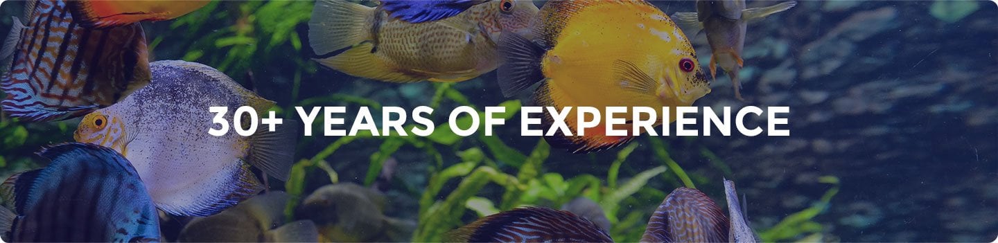 30+ Years of Experience