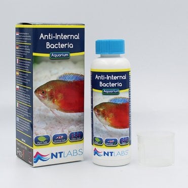 Aquarium Anti-Internal Bacteria - 100ml