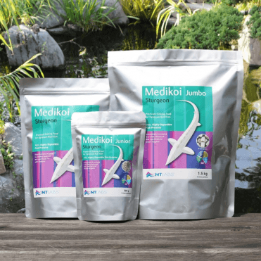 Medikoi Sturgeon Junior 2mm - 500g