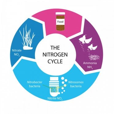 NT LABS Nitrate Test - 30 Tests