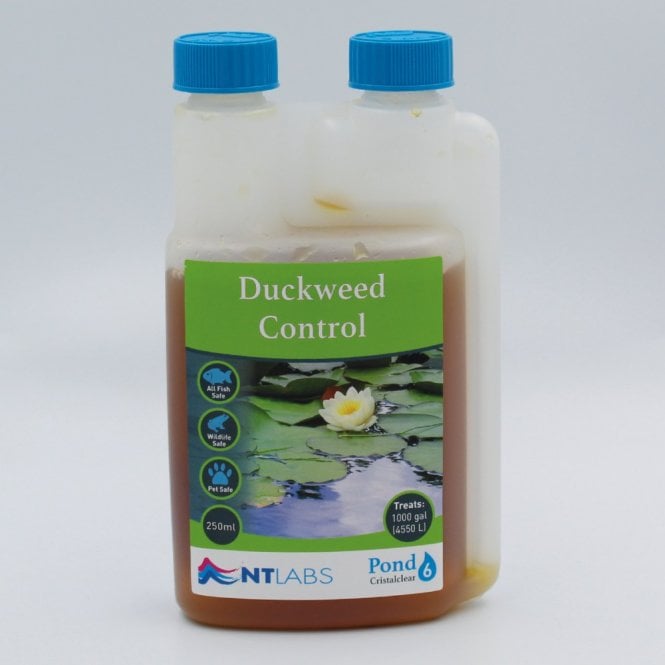 NT LABS Pond Duckweed Control - 1 Litre
