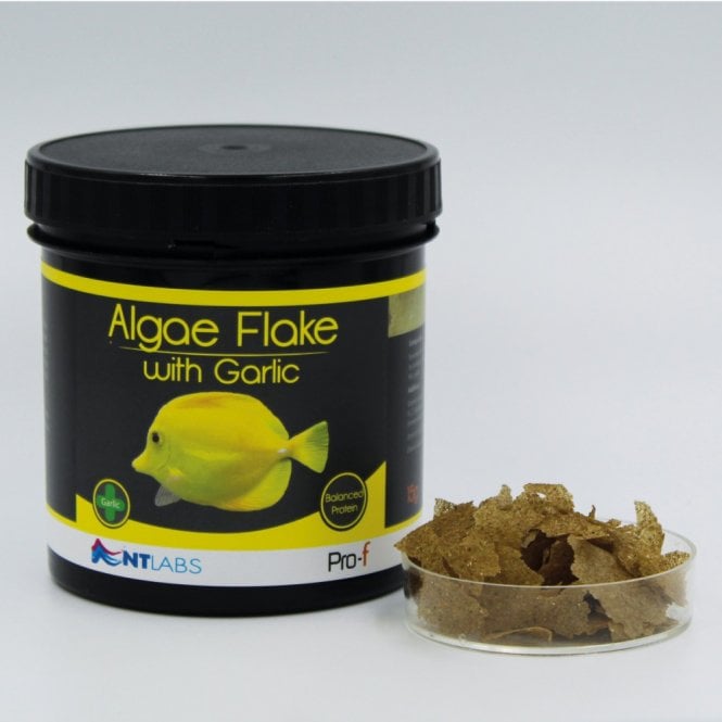 NT LABS Pro-f Algae Flake With Garlic - 15g