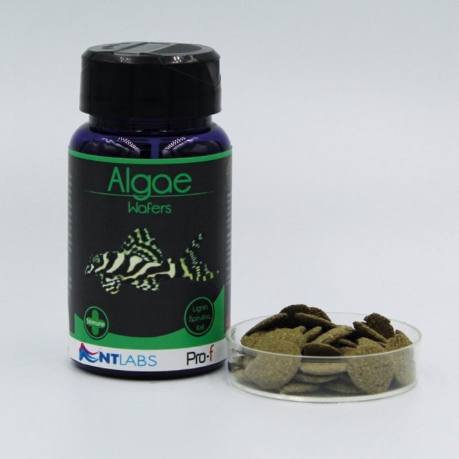 NT LABS Pro-f Algae Wafers - 350g