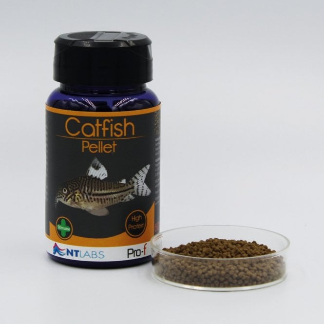 NT LABS Pro-f Catfish Pellet - 60g