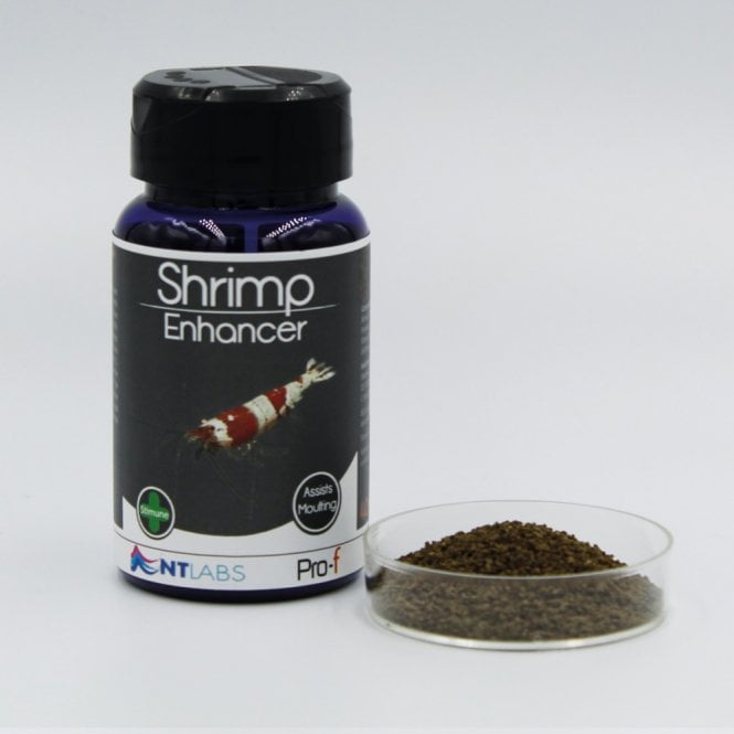 NT LABS Pro-f Shrimp Enhancer - 40g