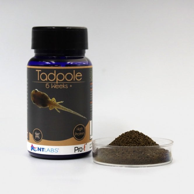 NT LABS Pro-f Tadpole 6 weeks + 50g