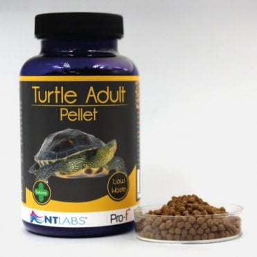 Pro-f Turtle Adult - 120g