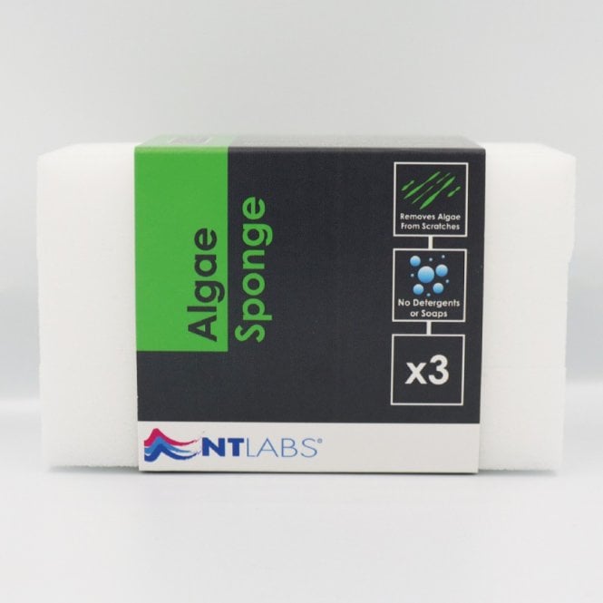 NT LABS ProCare - Algae Sponge