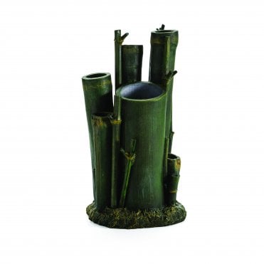 Bamboo green L
